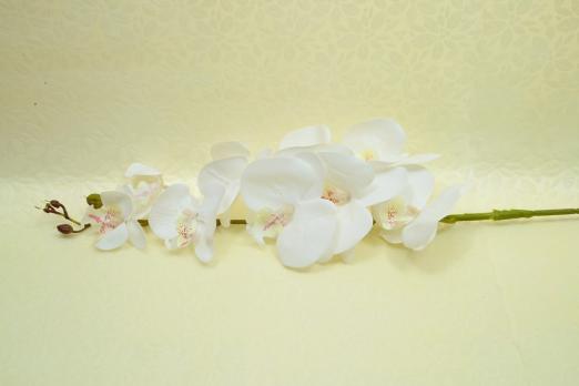 орхидея белая, ассорти h 100 см.