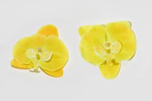 головка орхидеи м. скл.266